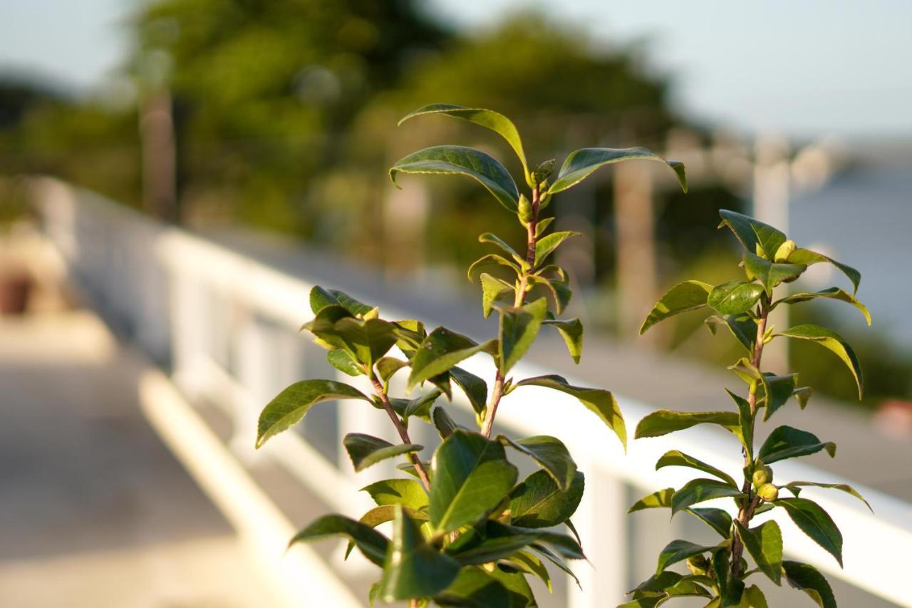 Costa Solar Lagoa Florianopolis Exterior photo